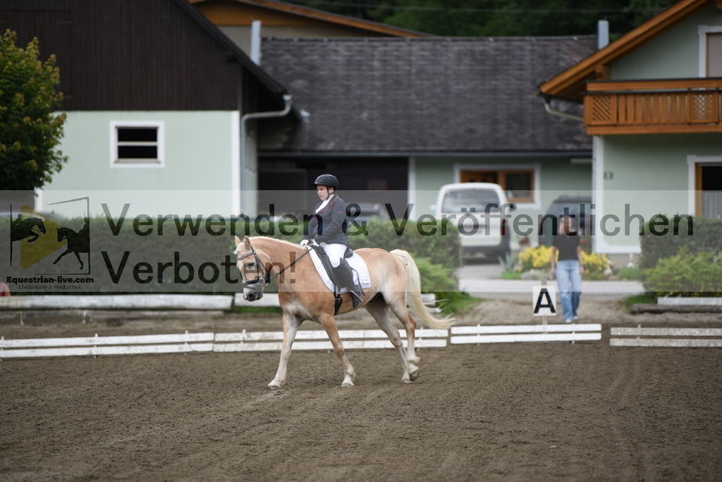 DSC_3680 | equestrian-live-com