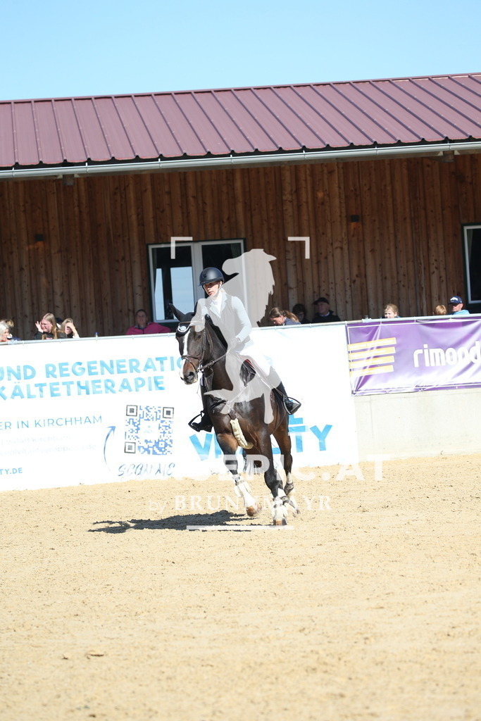 DL2Q2814 | Willkommen bei Brunnmayr - Design & Fotografie – Ihrem Spezialisten für Reitturniere und Pferdeveranstaltungen in Oberösterreich, Salzburg und Bayern! Seit über 17 Jahren sind wir leidenschaftlich dabei.