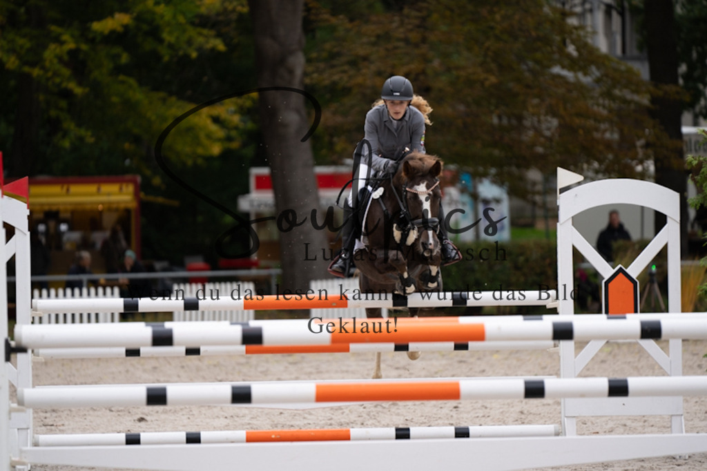 A7V09115 | Pferdefotograf