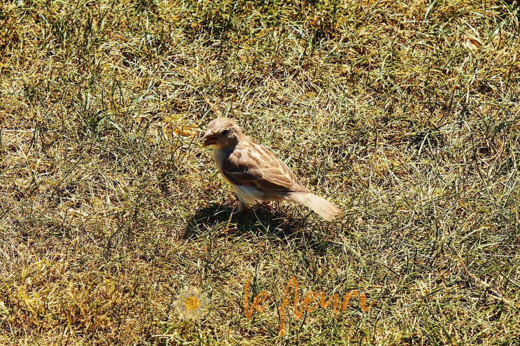 Was machst denn du da? | Dies ist der Shop von Florian Blum - le fleuri. Langenthal, Bern, SchweizSie können hier meine oder ihre eigenen Fotos als Fotoprodukte kaufen. Tassen, Schlüsselanhänger, Taschen etc. können Sie hier gestalten.  - Realisiert mit Pictrs.com