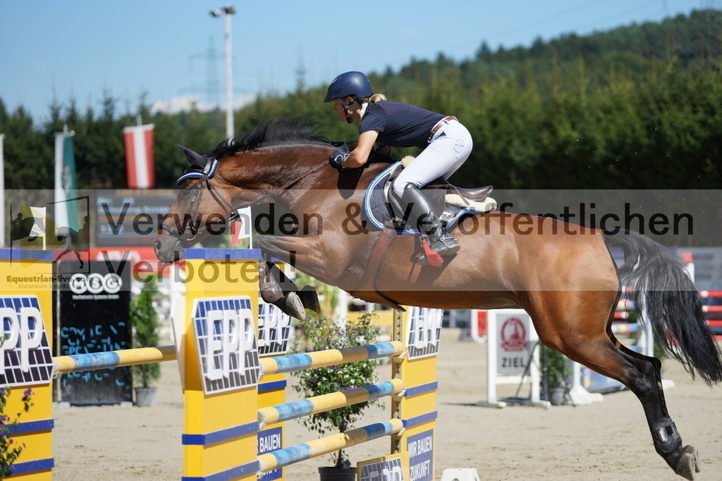DSC02593 | equestrian-live-com
