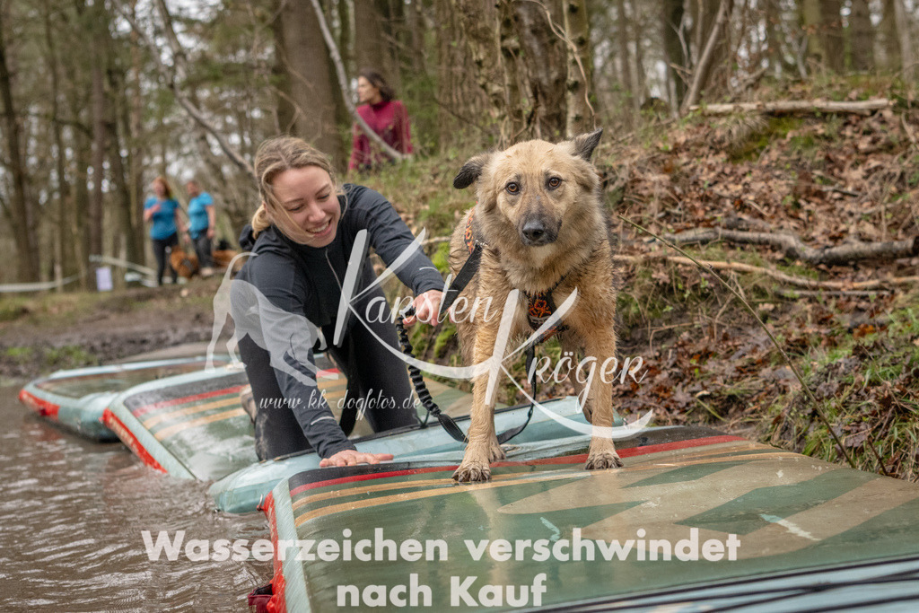 1133_ZZ93376 | kk-dogfotos