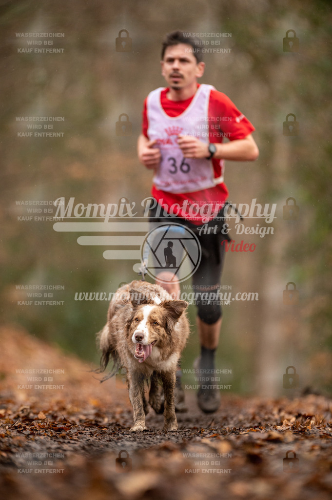 SPA_2023_DIM_CCL-97 | PayLife