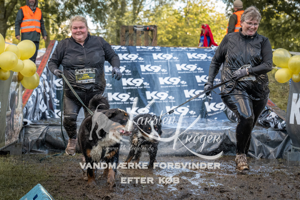 1559_ZZ91649 | kk-dogfotos