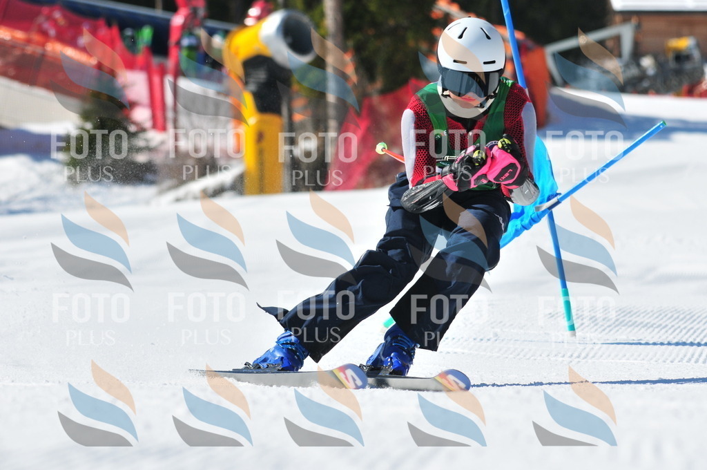 C4205 | holidayphoto