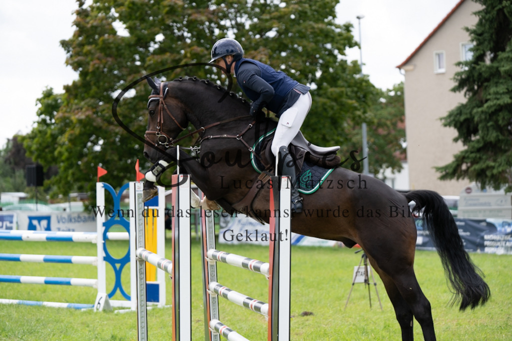 A7V04186 | Turnier/Reitfotograf