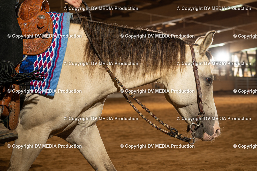 NID01681 | dv-media-shop - Realisiert mit Pictrs.com