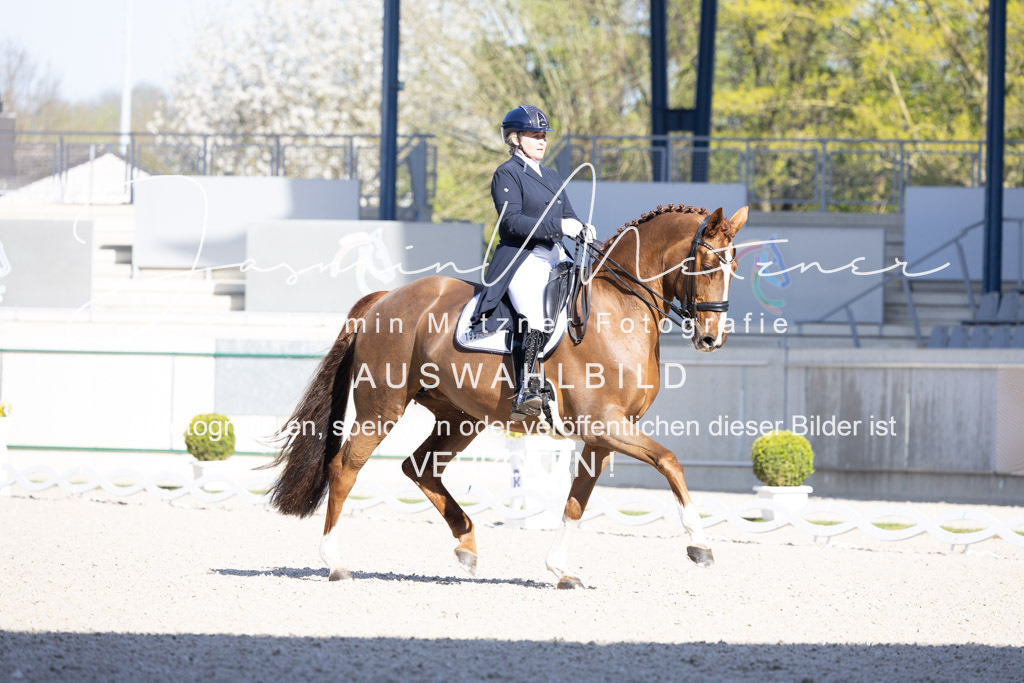 126A1271 | jasminmetznerfotografie