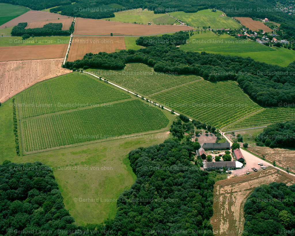 2417468 | Weinberge bei Seußlitz