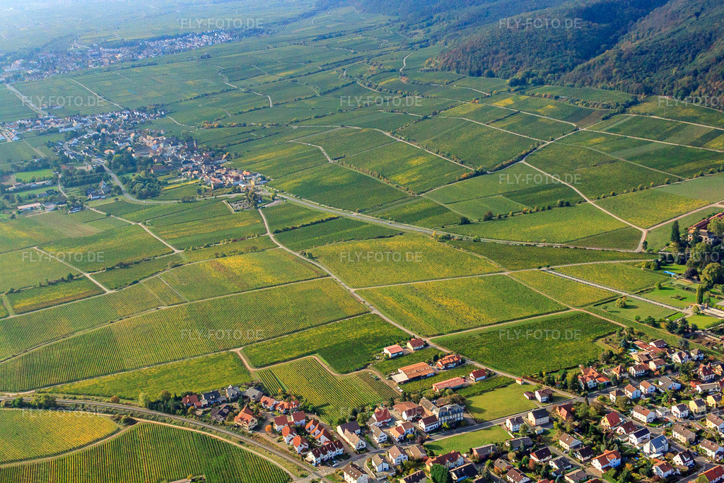 Luftbild: Weinlage Forster Pechstein in Forst an der Weinstraße im Bundesland Rheinland-Pfalz in Deutschland. Foto: IMG_21971.jpg vom 15.10.2009 durch Werner Riehm/FLY-FOTO.de
