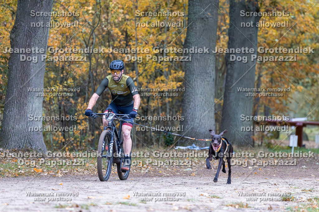 Dog Paparazzi - SD CaniX Championship 2025-37 | Dog Paparazzi Jeanette Grottendiek Fotografie & Videografie - Realisiert mit Pictrs.com