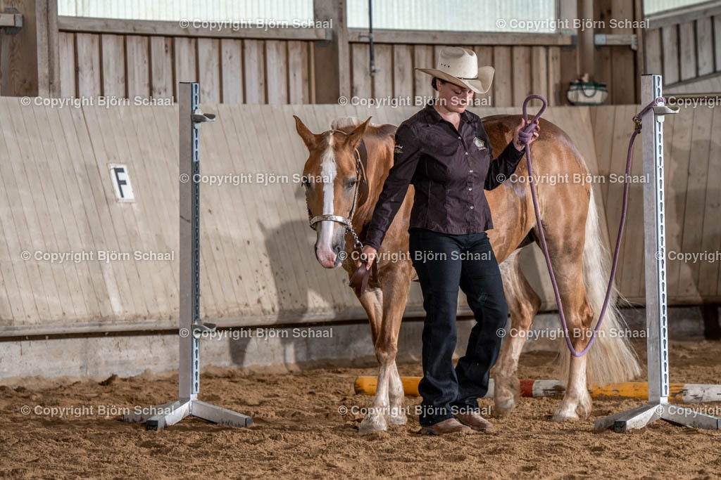 SBS03877 | BS-foto