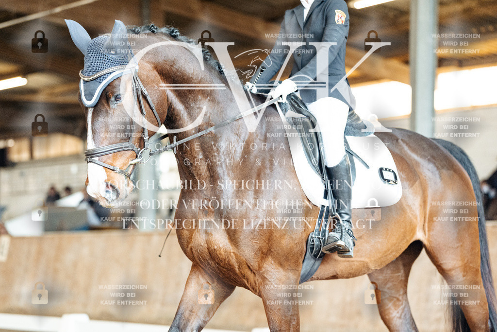 CK901123 | Turnierfotografie Pferdefotografie Trier Rheinland-Pfalz Pferdesport Reitsport Tierfotografie Sportfotografie Pferdevideo Pferdevideografie Equestrianvideography equestrianphotography  - Realisiert mit Pictrs.com