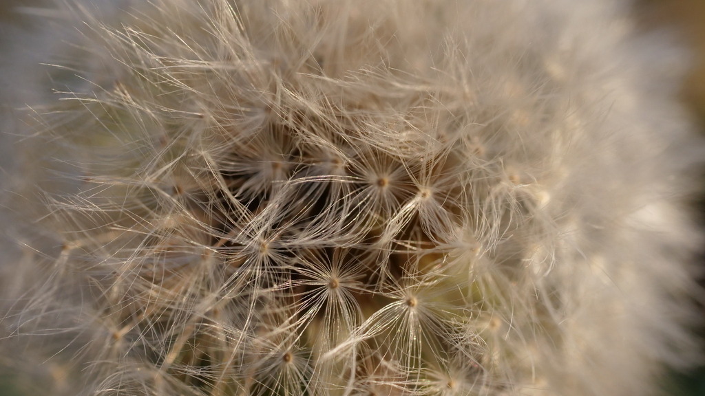 P1055016 | klausulrichmoeller