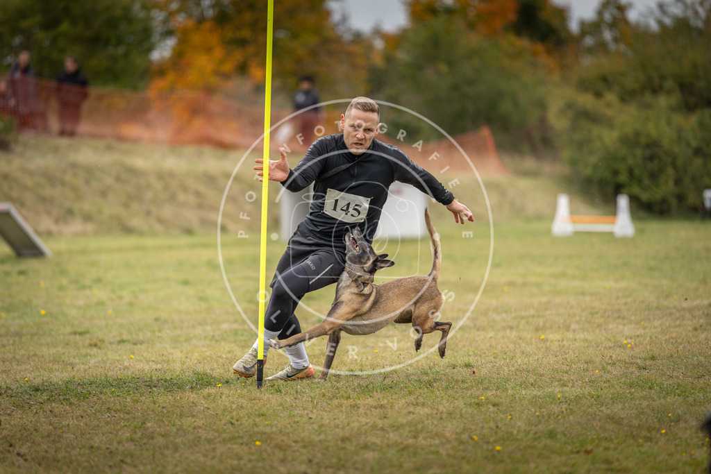 Pfotenfotografie_DV3A8040 | Hundefotografie, Tierfotograf, Pfotenfotografie, Fotoshooting Hund, Hunde Portrait, Hundesport, Hundeportraits, Heideshooting, Hunde, Sportfotograf, Hundefotograf, Turnierhundsport, THS,  - Realisiert mit Pictrs.com