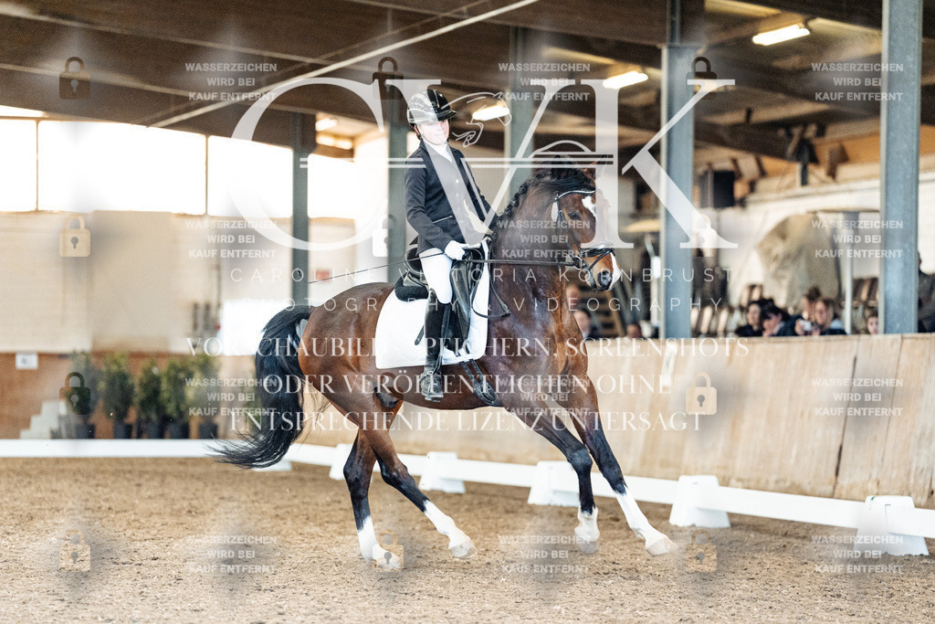 CK909901 | Turnierfotografie Pferdefotografie Trier Rheinland-Pfalz Pferdesport Reitsport Tierfotografie Sportfotografie Pferdevideo Pferdevideografie Equestrianvideography equestrianphotography  - Realisiert mit Pictrs.com