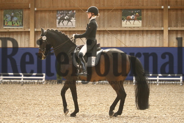 Turnier_Zeutern_2022_Prfg.Nr.02_Kurz-GrandPrix_Sandy Kühnle_Amaretto W (18) | Alle Fotos der Reiterjournal Fotografin Doris Matthaes im Reiterjournal Online-Fotoshop. - Realisiert mit Pictrs.com