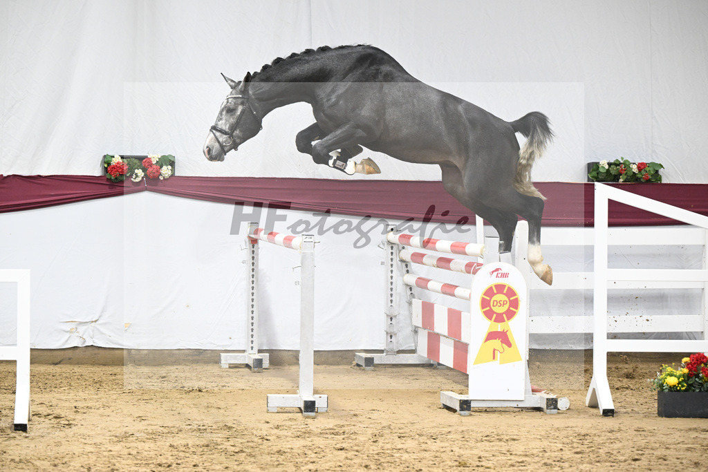 Kat-Nr. 71 Comilfo Plus Z x Casallco_PBM Pfefferle GmbH_47252845 | hf-fotografie - Realisiert mit Pictrs.com