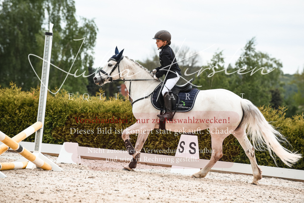 20230518_JK-Röhrsdorf-10-501 | Pferde- und Turnierfotografie in Westsachsen. Pferdeportraits, Auftragszeichnungen und intuitive Kunst.