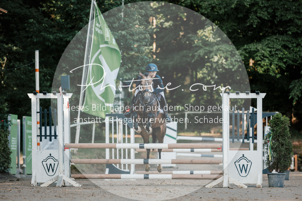 3I6A6276 | Stimmungsvolle Portraits und Reitsportfotografie im Ruhrgebiet und im Münsterland.

Pferdefotografie, Hundefotografie, Tierfotografie, Reportagen, Portraits von Tier und Mensch, Turnierfotografie in Bochum, Recklinghausen, Marl, Haltern am See, Dülmen.. - Realisiert mit Pictrs.com