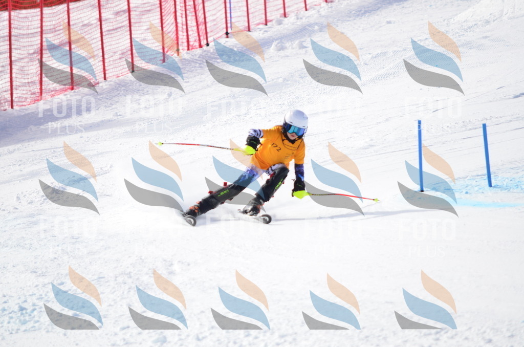 C7911 | holidayphoto