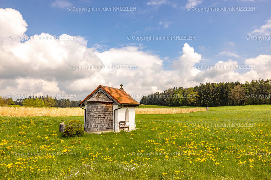 Otting | medienkrizzler - Realisiert mit Pictrs.com