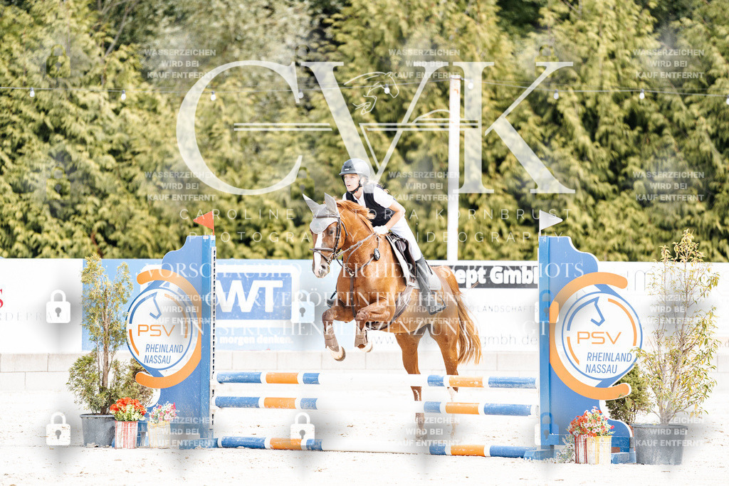 CK906540 | Turnierfotografie Pferdefotografie Trier Rheinland-Pfalz Pferdesport Reitsport Tierfotografie Sportfotografie Pferdevideo Pferdevideografie Equestrianvideography equestrianphotography  - Realisiert mit Pictrs.com