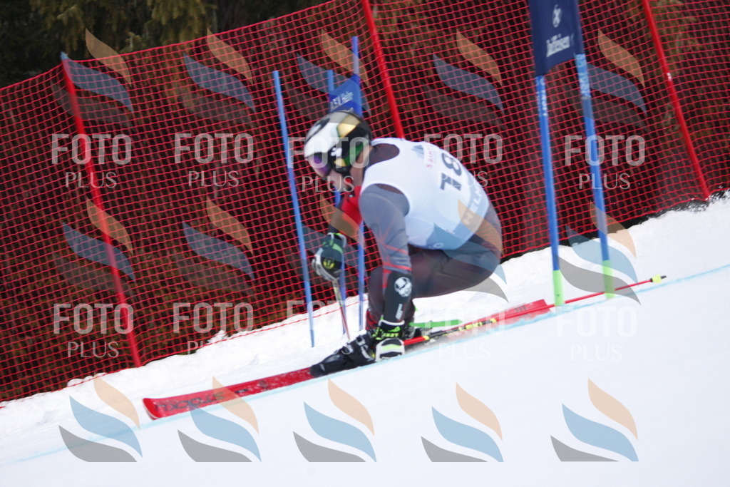 D7817 | holidayphoto