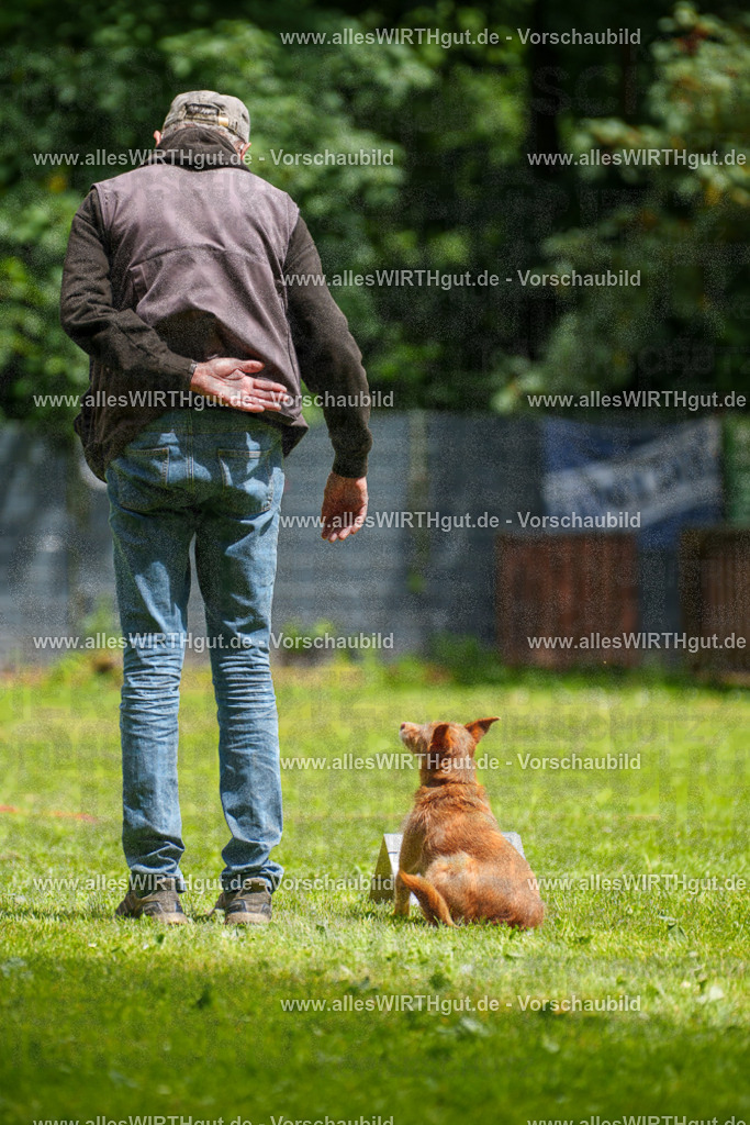 @allesWIRTHgut_Tierfotografie - www.allesWIRTHgut.de - 121816-7R508838 | Professionelle Tierfotografie in Mönchengladbach von Daniel Wirth (allesWIRTHgut). Liebevolle & natürliche Bilder von Hunden & Katzen für unvergessliche Erinnerungen.