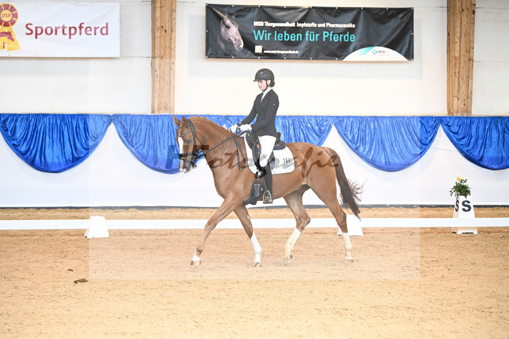 Kat-Nr. 167 Bugsy Malone_Oertel_14240725 | hf-fotografie - Realisiert mit Pictrs.com