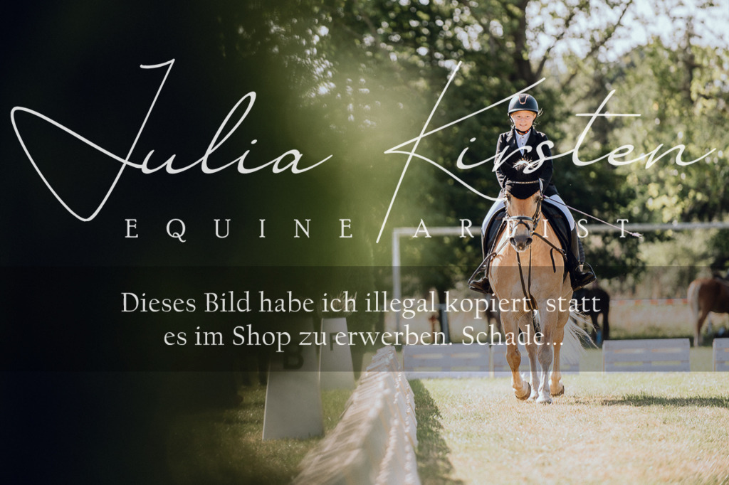 DSC_7146 | Pferde- und Turnierfotografie in Westsachsen. Pferdeportraits, Auftragszeichnungen und intuitive Kunst.