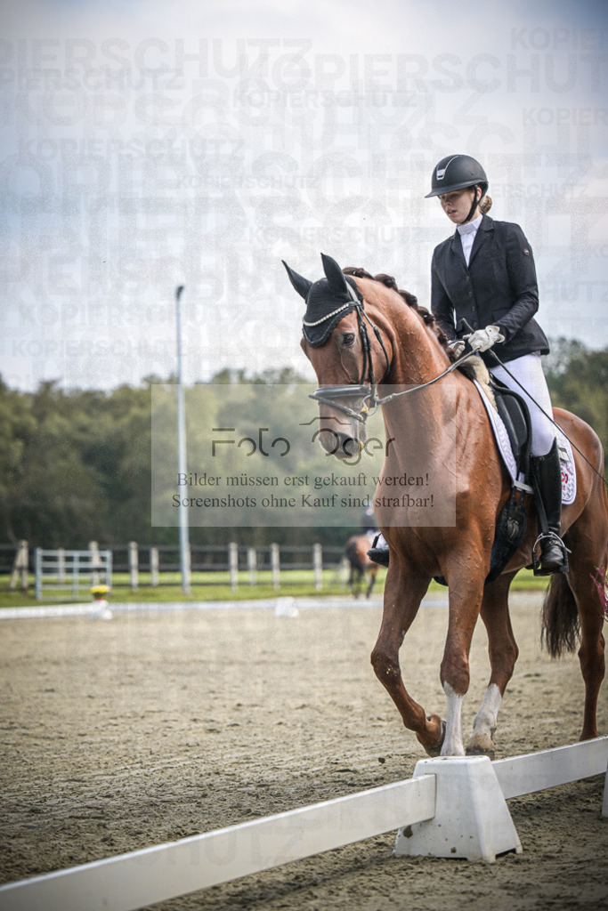 DOS_B670 | Entdecke hochwertige Reitturnierfotos von Foto Oger. Professionell, emotional und authentisch – jetzt Lieblingsmomente im Shop bestellen.Deutschlandweite Turnierfotografie. - Realisiert mit Pictrs.com