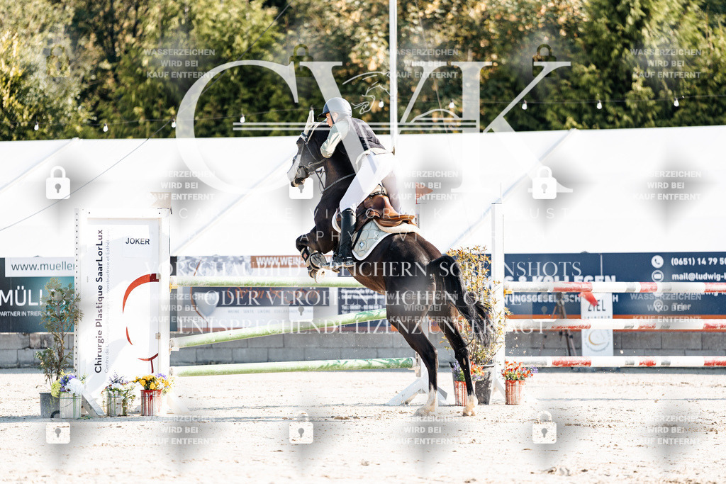 CK901658 | Turnierfotografie Pferdefotografie Trier Rheinland-Pfalz Pferdesport Reitsport Tierfotografie Sportfotografie Pferdevideo Pferdevideografie Equestrianvideography equestrianphotography  - Realisiert mit Pictrs.com