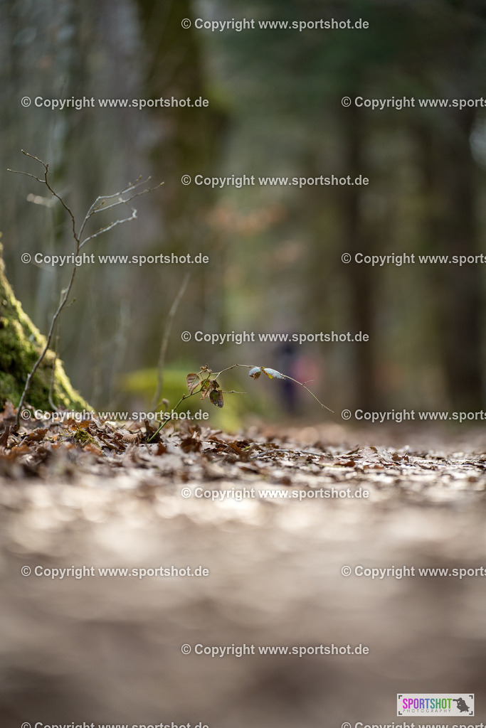 SZI05452 | #forstenriedervolkslauf #volkslauf #forstenried #forstenriedersc #yourpictrs #sportshot_your_pictrs