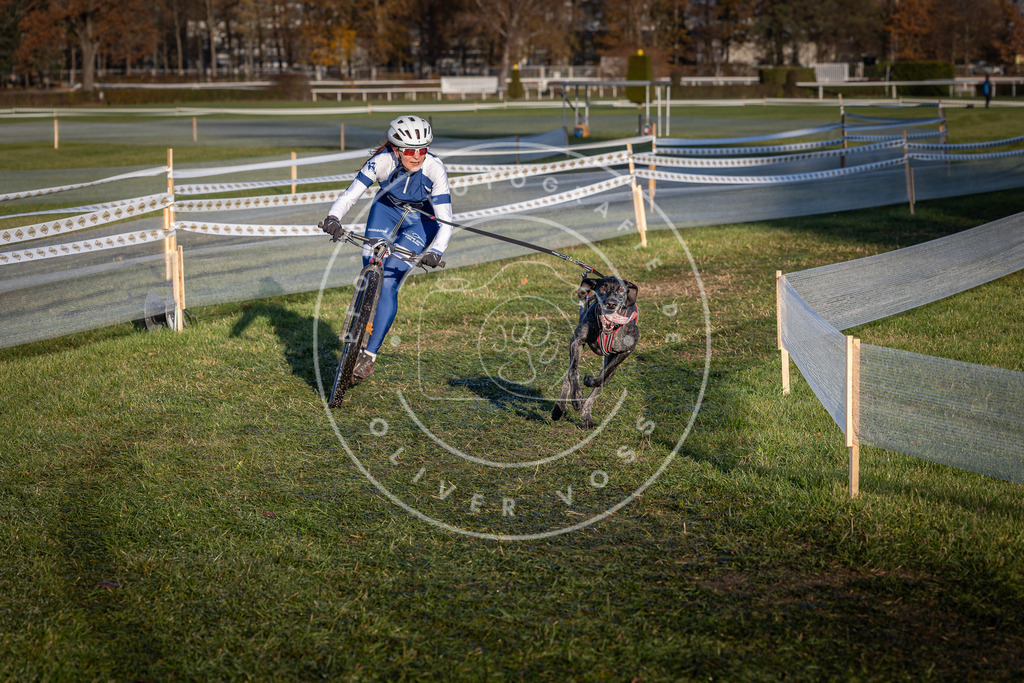 CaniXpix_0L8A3584 | Hundefotografie, Tierfotograf, Pfotenfotografie, Fotoshooting Hund, Hunde Portrait, Hundesport, Hundeportraits, Heideshooting, Hunde, Sportfotograf, Hundefotograf, Turnierhundsport, THS,  - Realisiert mit Pictrs.com