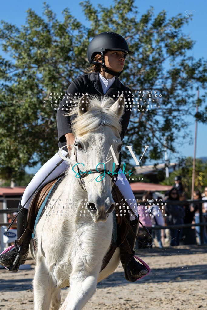 IMG_8538 | s-jay-photography - Realisiert mit Pictrs.com