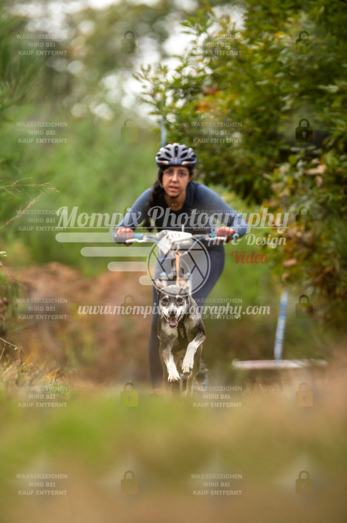 TSB_2023_E5_DS1-24 | PayLife