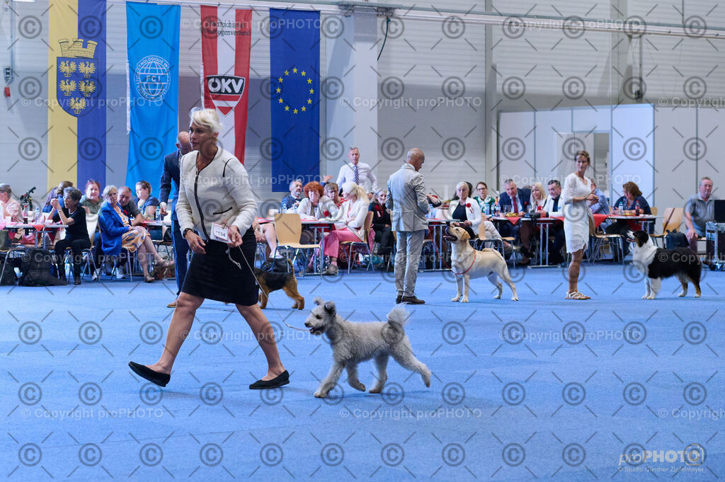 202406_ÖKV-IHA-Tulln24_DSC_4383 | proPHOTO - Realisiert mit Pictrs.com