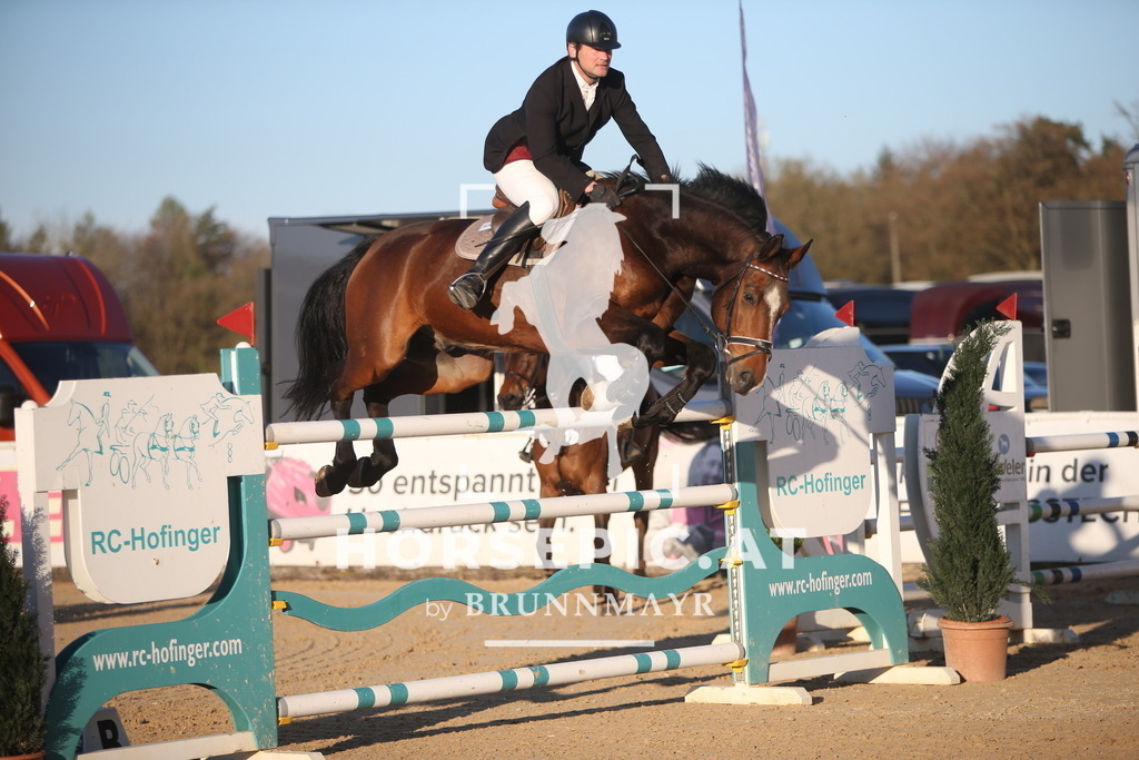 PP016380 | Willkommen bei Brunnmayr - Design & Fotografie – Ihrem Spezialisten für Reitturniere und Pferdeveranstaltungen in Oberösterreich, Salzburg und Bayern! Seit über 17 Jahren sind wir leidenschaftlich dabei.