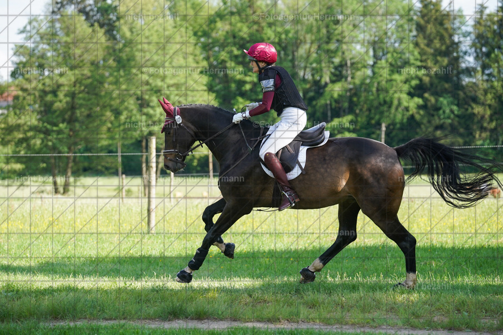 20240518-FAH04120 | Turnierbilder von Niederseon, Turnierfotografen Bayern, Fotoagentur Herrmann, Geländebilder, Reitsportfotografie