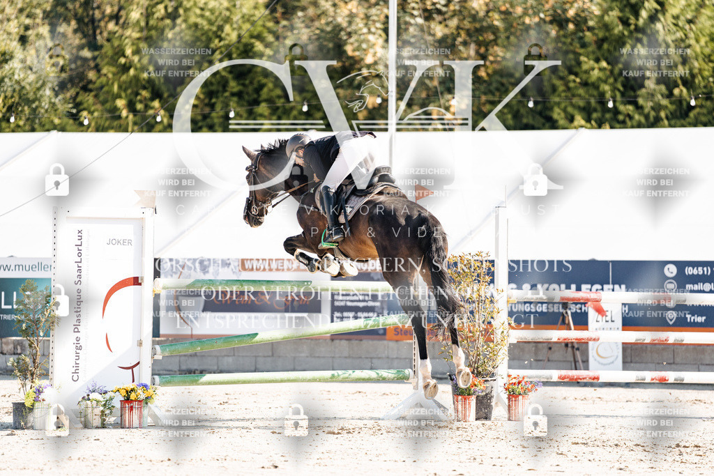 CK901922 | Turnierfotografie Pferdefotografie Trier Rheinland-Pfalz Pferdesport Reitsport Tierfotografie Sportfotografie Pferdevideo Pferdevideografie Equestrianvideography equestrianphotography  - Realisiert mit Pictrs.com