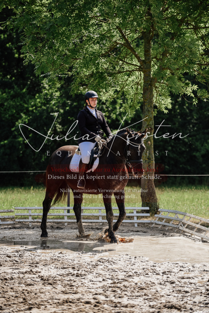 DSC_0157 | Pferde- und Turnierfotografie in Westsachsen. Pferdeportraits, Auftragszeichnungen und intuitive Kunst.