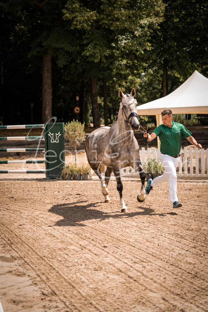 1.Fr00070 | Leoni Ertmer Photography - Realisiert mit Pictrs.com