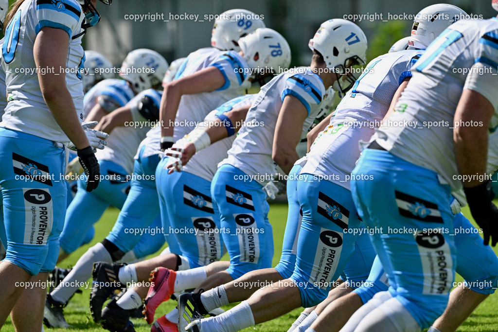 Carinthian Lions vs. Styrian Bears | Carinthian Lions vs. Styrian Bears, Carinthian Lions vs. Styrian Bears am 20.05.2024 in Klagenfurt (ASV Sportplatz), Austria, (Photo by Bernd Stefan)