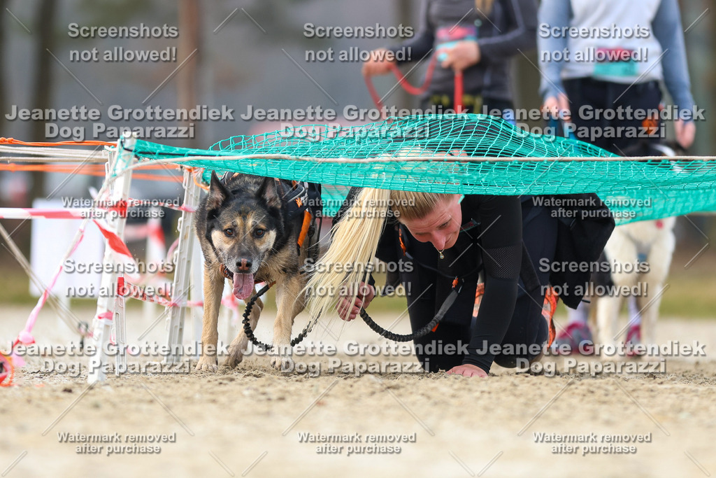 Dog Paparazzi - Strongdog North Mrz26-4158 | Dog Paparazzi Jeanette Grottendiek Fotografie & Videografie - Realisiert mit Pictrs.com