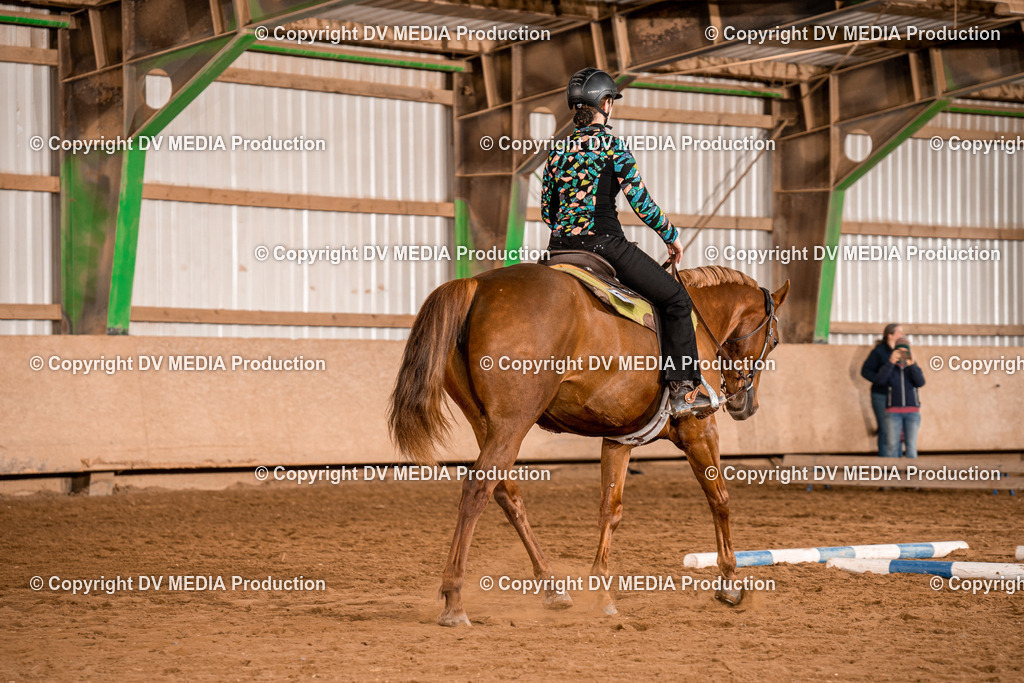 BA300468 | dv-media-shop - Realisiert mit Pictrs.com