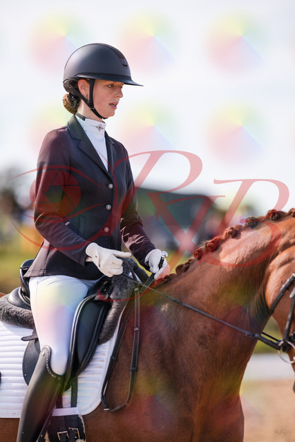 2026_10_03_Siefer-Hof_133129_Z81_85680709 | Professionelle Reitsport-, Turnier- und Eventfotografie von Robert Broda. Galerien mit ausgewählten und bearbeiteten Bildern direkt online ansehen und bestellen.