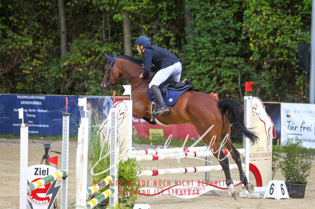 DKP42677 | Turniersportfotografie; Pferdefotografie; Dressurfotografie