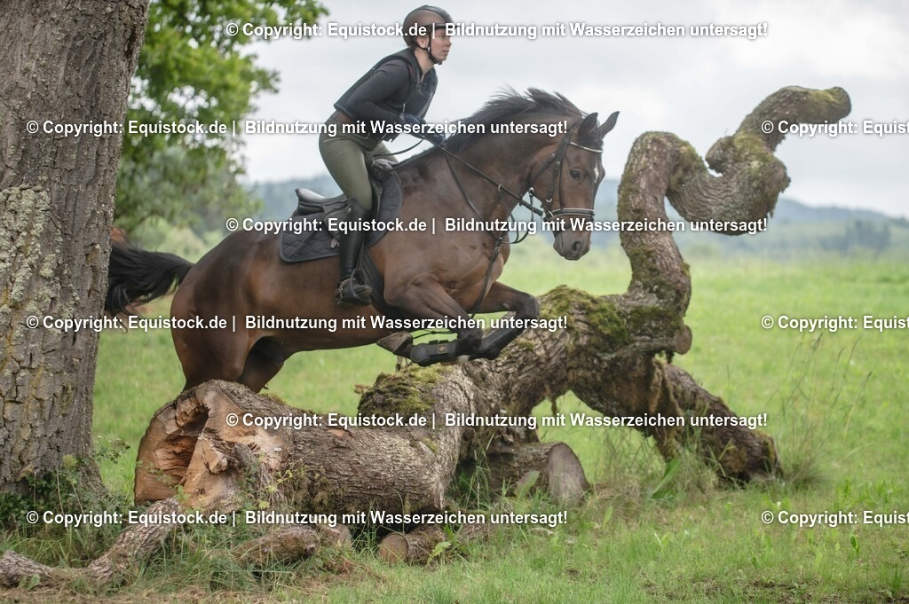 20250726_Vielseitigkeitslehrgang-Marbach_0784 | Foto: Thomas Hartig