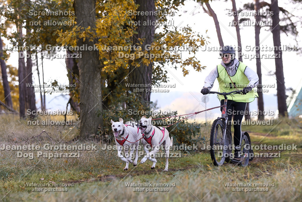 Dog Paparazzi - Elsholz 25 -66 | Dog Paparazzi Jeanette Grottendiek Fotografie & Videografie